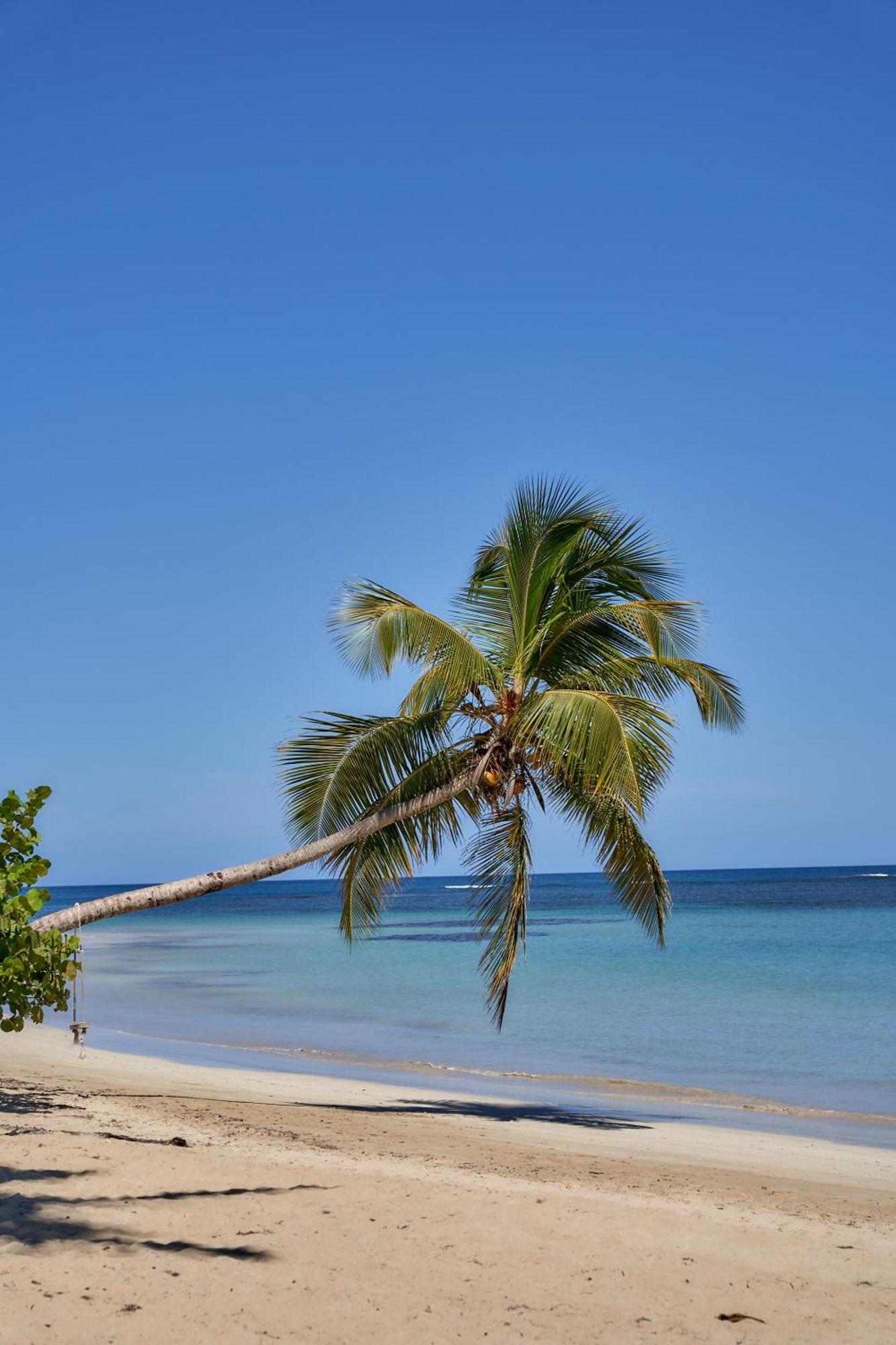Empyrean Tropical Wellness Portillo Las Terrenas Exterior photo